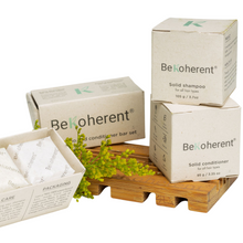 Load image into Gallery viewer, Kit Shampoo and Conditioner, plus shower holder and travel set