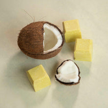 Load image into Gallery viewer, Shampoo and conditioner kit